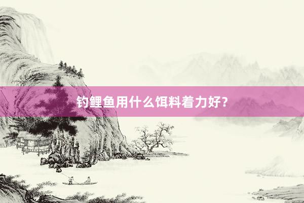 钓鲤鱼用什么饵料着力好？
